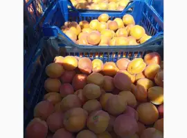 Зображення для оголошення Продам абрикос на заморозку