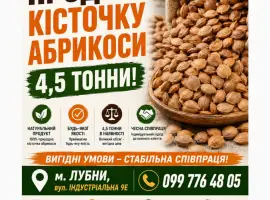 Зображення для оголошення Продам кісточку абрикоси 4