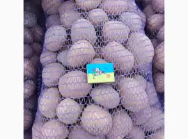 Зображення для оголошення Продам товарну картоплю