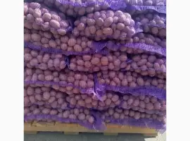 Продам насіннєву картоплю