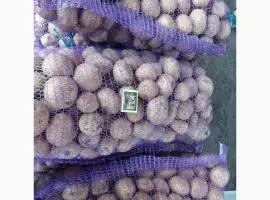 Зображення для оголошення Продам картоплю