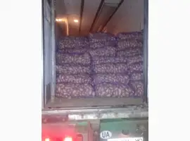 Продам качественый розовый картофель