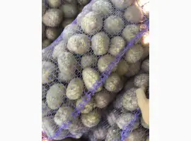 Зображення для оголошення Продам товарну картоплю