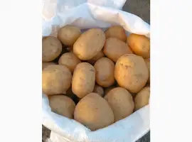 Зображення для оголошення Продам обʼєм картоплі