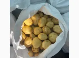 Зображення для оголошення Продам молоду картоплю