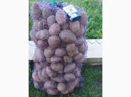 Продам картоплю