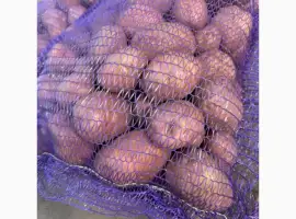 Продам товарну картоплю