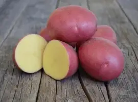 Зображення для оголошення Куплю картоплю
