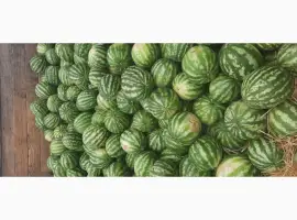 Зображення для оголошення Продам кавун опт с поля