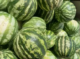Зображення для оголошення Продам кавун Продюсер з поля