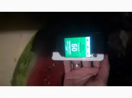Зображення для оголошення Арбуз