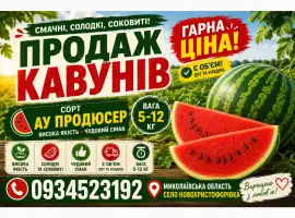 Продам кавун Ау Продюсер Миколаївська область