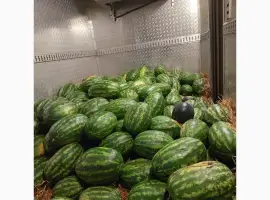 Зображення для оголошення Продам кавун з поля