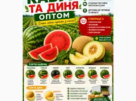 Зображення для оголошення Кавун оптом з поля