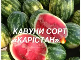 Зображення для оголошення Солодкі та соковиті кавуни сорту «КАРІСТАН» - прямо з городу