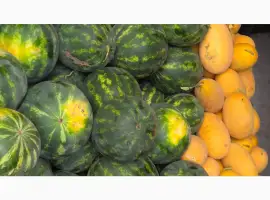Зображення для оголошення Продам баштанні