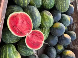 Зображення для оголошення Продам свіжий не попечений