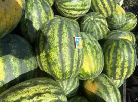Зображення для оголошення Продам кавун