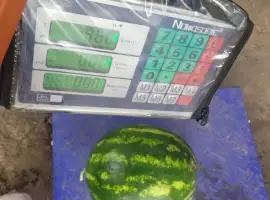 Зображення для оголошення Кавун Макарена 6-15 кг від 20 тонн
