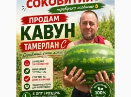 Зображення для оголошення Продам кавун сорт Тамерлан