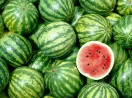 Зображення для оголошення Продам свіжі солодкі кавуни