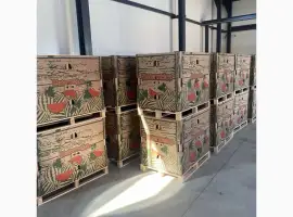 Зображення для оголошення Продам арбуз