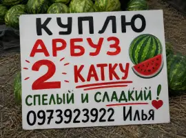 Зображення для оголошення Куплю арбуз