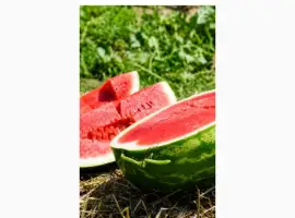 Зображення для оголошення Продам кавун