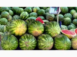 Зображення для оголошення Продам свіжі солодкі кавуни