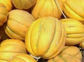 Зображення для оголошення Куплю Диню з поля