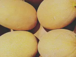 Зображення для оголошення Продам дыню сорт Придестровка от поставщика С 3 тонны