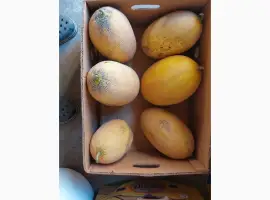 Зображення для оголошення Продам дині Амал