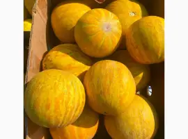 Зображення для оголошення Куплю дыню Днестровскую