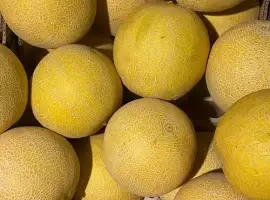 Зображення для оголошення Продам диню оптом