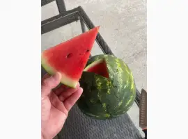 Зображення для оголошення Pepeni harbuz