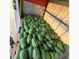 Зображення для оголошення Pepeni romania
