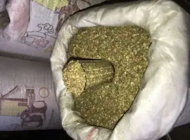 Зображення для оголошення Урожай з свого города МАХОРКА сільська може комусь Вірджінія тютюн також є