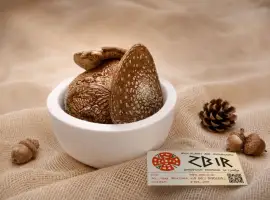 Зображення для оголошення Мухомор ПАНТЕРНИЙ (Amanita Pantherina)