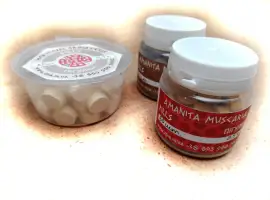Зображення для оголошення Пігулки з мухомора червоного (Amanita Muscaria) та пантерного (Amanita Pantherina)