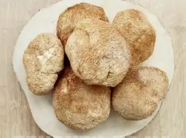 Зображення для оголошення ЕЖОВИК ГРЕБЕНЧАТЫЙ купить. Львиная Грива Герициум Ежевик гриб Качество
