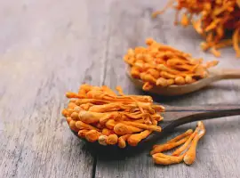 Зображення для оголошення КОРДИЦЕПС МИЛИТАРИС Кордіцепс