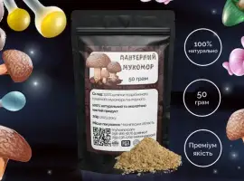 Зображення для оголошення Мухомор Пантерний мелені шляпки