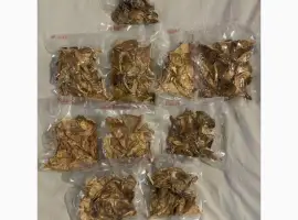 Зображення для оголошення Продам червоний мухомор