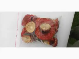 Зображення для оголошення Продам Мухомор червоний