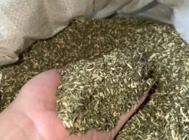 Зображення для оголошення Продам табак самосад (махорку)