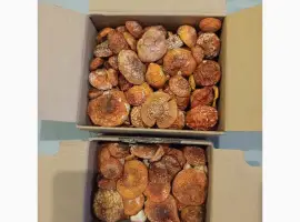 Зображення для оголошення Капелюшки мухомора сушеного
