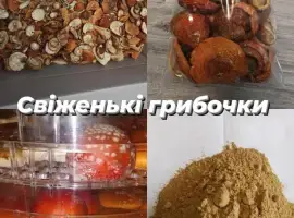 Зображення для оголошення Лікувальні гриби оптом
