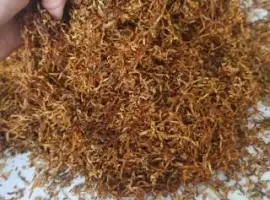 Зображення для оголошення Куплю тютюн лапшу павутинку Самосад махорку по 450 за кг