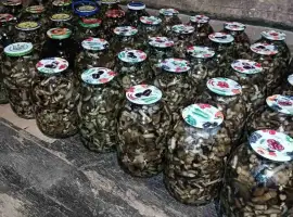 Зображення для оголошення Опята в банках