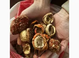 Зображення для оголошення Мухомор червоний